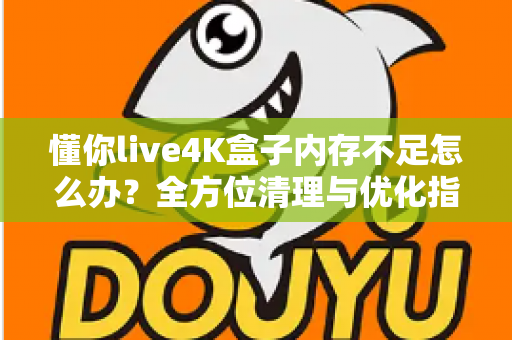 懂你live4K盒子内存不足怎么办？全方位清理与优化指南，让你的4K观影体验重回流畅