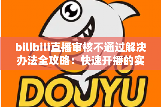 bilibili直播审核不通过解决办法全攻略：快速开播的实用指南与避坑经验分享