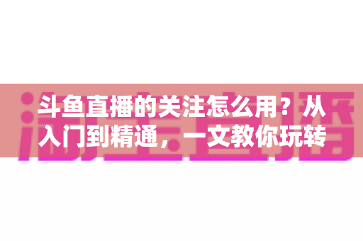 斗鱼直播的关注怎么用？从入门到精通，一文教你玩转斗鱼关注功能