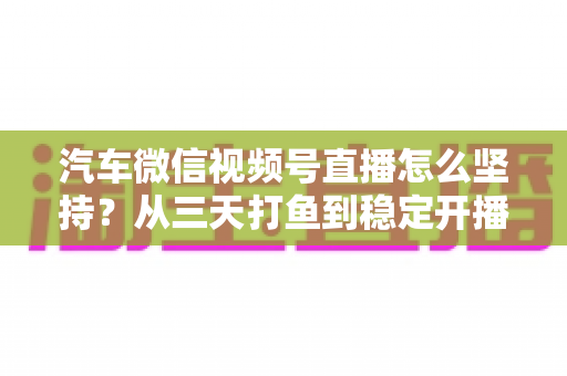 汽车微信视频号直播怎么坚持？从三天打鱼到稳定开播的实战指南