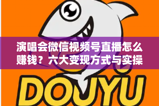 演唱会微信视频号直播怎么赚钱？六大变现方式与实操指南全面解析