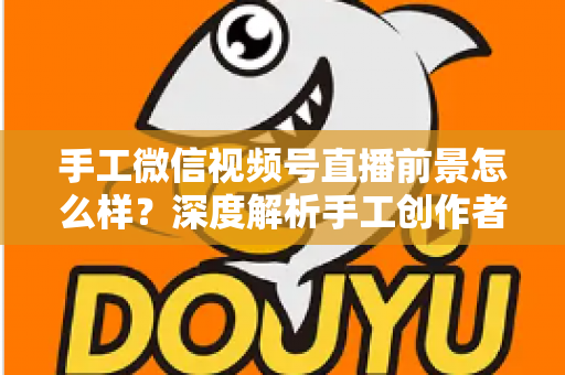 手工微信视频号直播前景怎么样？深度解析手工创作者的直播变现新机遇