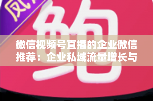 微信视频号直播的企业微信推荐：企业私域流量增长与转化的实战指南