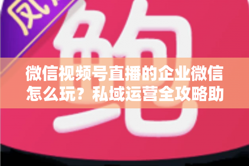 微信视频号直播的企业微信怎么玩?私域运营全攻略助力企业流量变现 微信视频号直播的企业微信怎么玩?私域运营全攻略助力企业流量变现