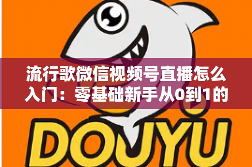 流行歌微信视频号直播怎么入门：零基础新手从0到1的完整开播实战指南