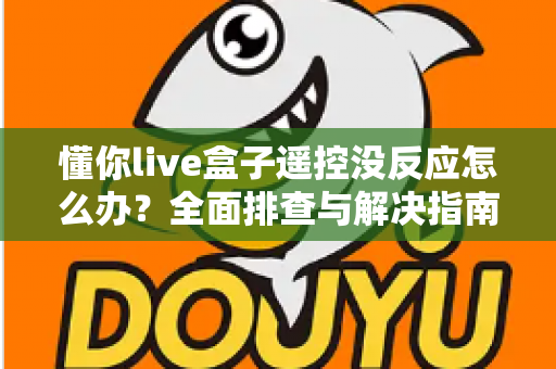 懂你live盒子遥控没反应怎么办？全面排查与解决指南