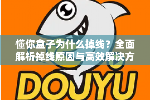 懂你盒子为什么掉线?全面解析掉线原因与高效解决方案指南 懂你盒子为什么掉线?全面解析掉线原因与高效解决方案指南