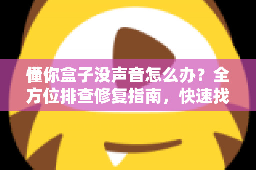 懂你盒子没声音怎么办？全方位排查修复指南，快速找回清晰音效